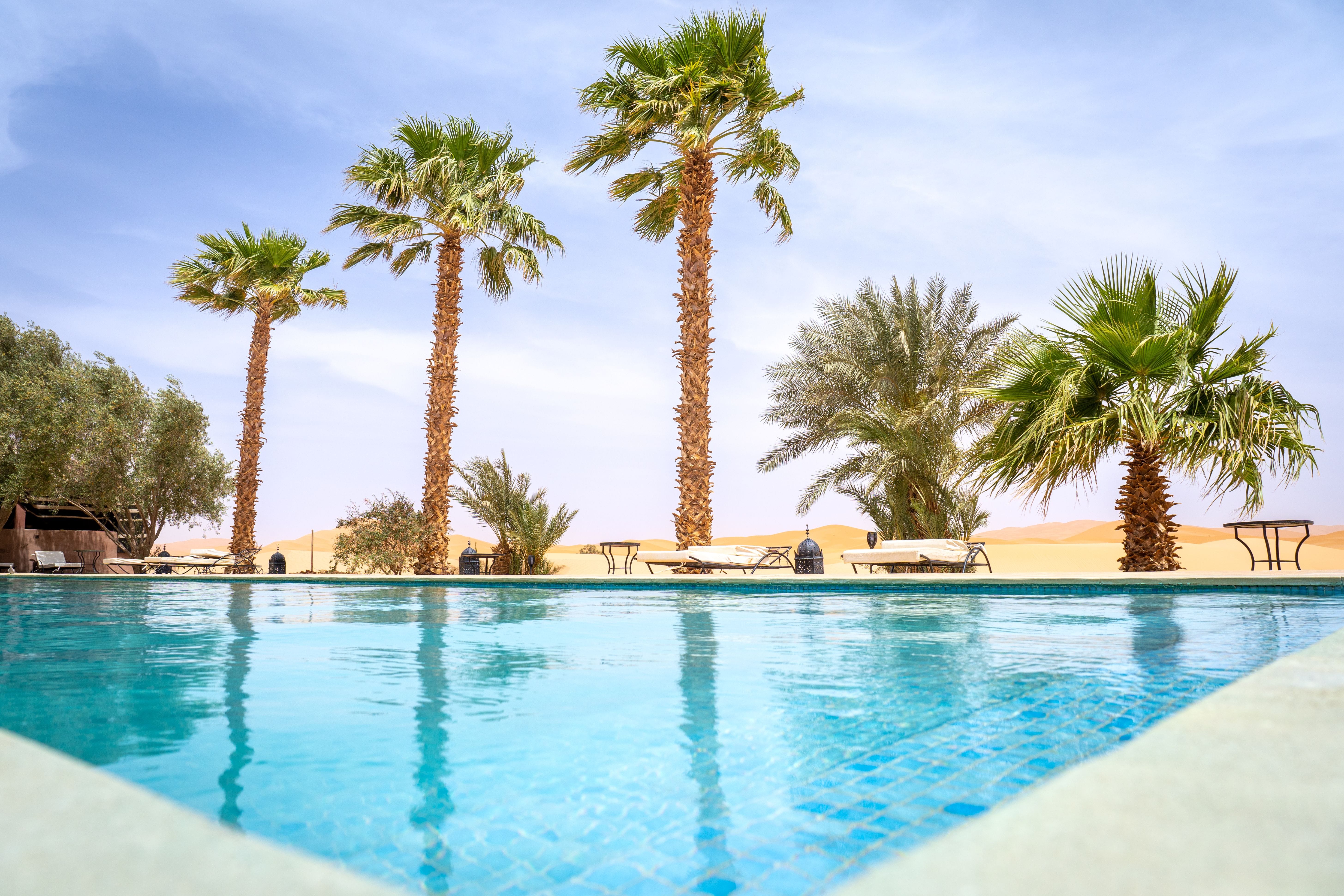 Resort pool with palm trees